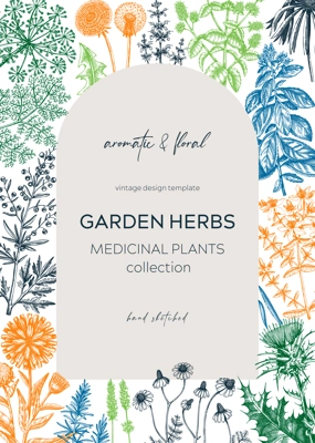 Vintage herbs card design. Sketched aromatic plants frame in color. Botanical design. Herbal tea ingredients. Hand drawn medicinal herbs cover, invitation, banners, stickers, label, packaging.